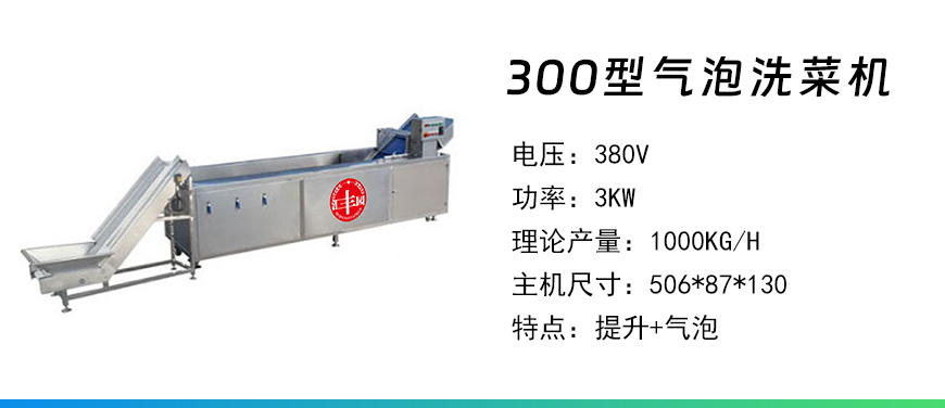 300型氣泡洗菜機(jī).jpg