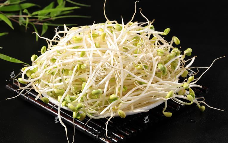 無公害綠色豆芽，怎么生產(chǎn)出來的？全套生產(chǎn)過程如此方便智能